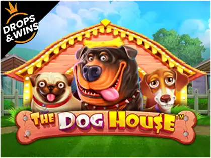 the-dog-house